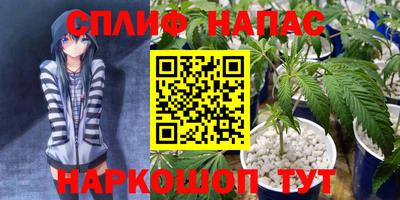 не бодяженный Славянск-на-Кубани