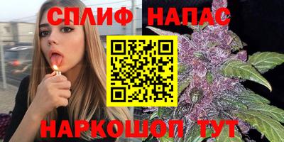 mdpv Славгород