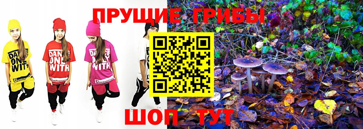 где купить наркоту  Вход с VPN  Курган  Галлюциногенные грибы Magic Shrooms 