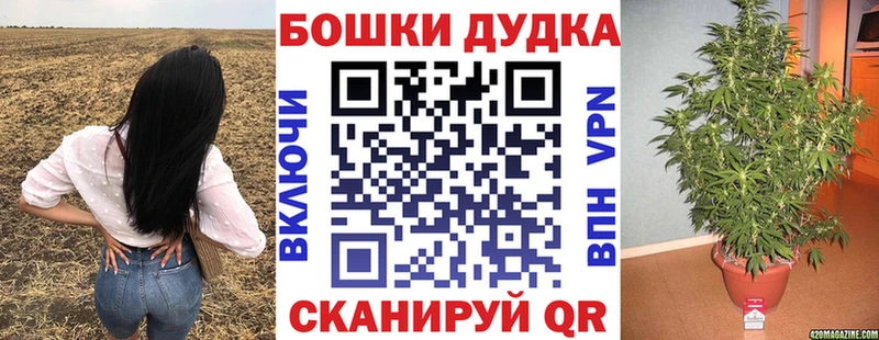 Шишки марихуана планчик  Курган 